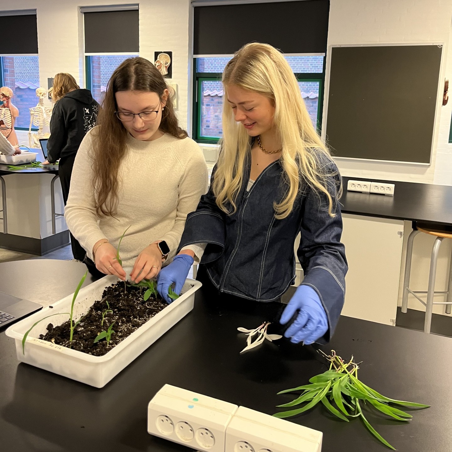 To elever arbejder med en plant i biologiundervisning